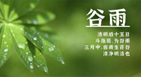 【二十四節(jié)氣灸】谷雨時節(jié)，用艾為您的健康加上一道保險！