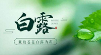 【二十四節(jié)氣灸】白露涼爽，養(yǎng)心肝脾胃、滋陰潤肺是關(guān)鍵！