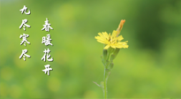 【九九養(yǎng)生】三月四日“九九日”，寒冬已過。春天養(yǎng)好身，全年不怕??！
