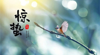 【二十四節(jié)氣灸】驚蟄節(jié)氣，艾灸喚醒抵抗力、補充陽氣的最好時機！