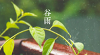 【二十四節(jié)氣灸】谷雨節(jié)氣脾土濕，艾灸降濕濁，脾旺不受邪！